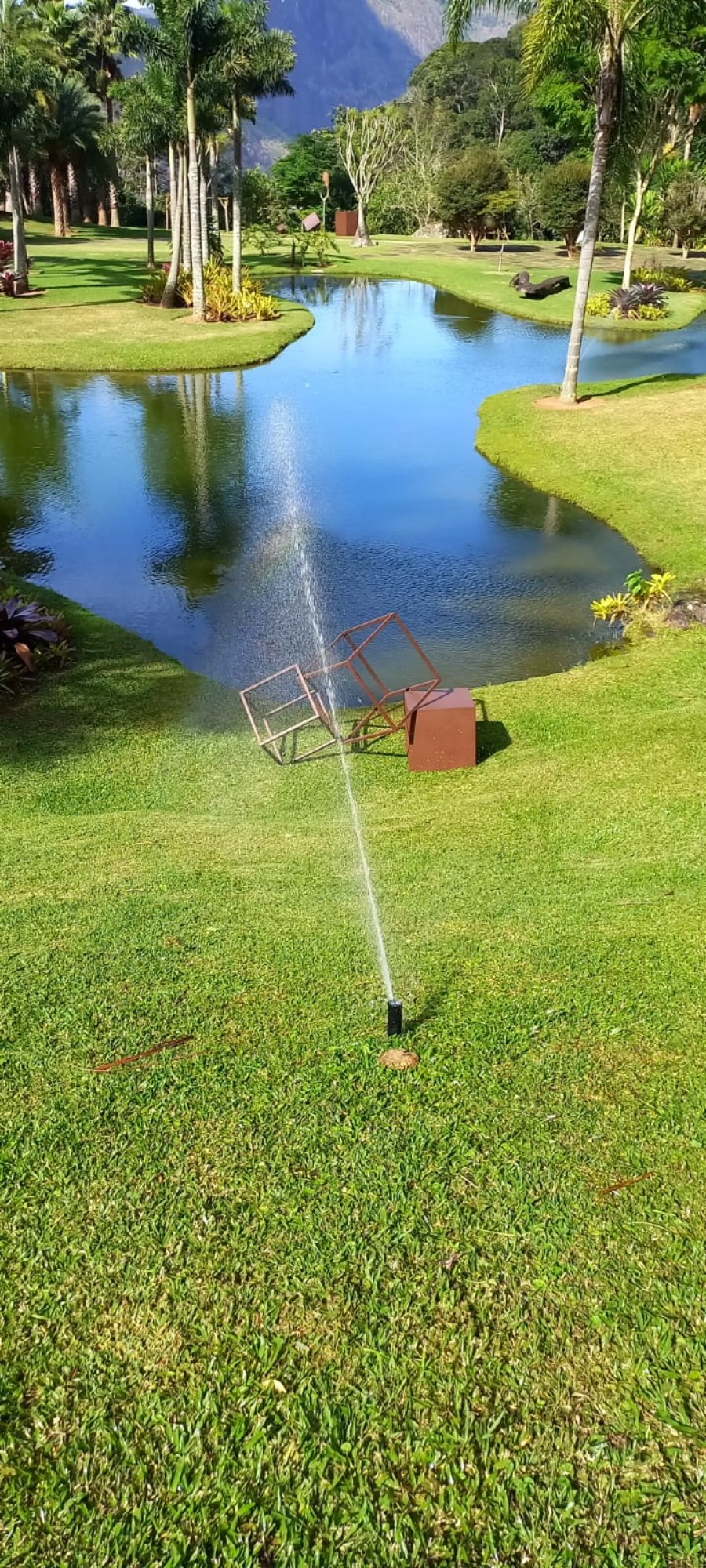 Jardim paisagístico com lago, palmeiras e irrigação por aspersão